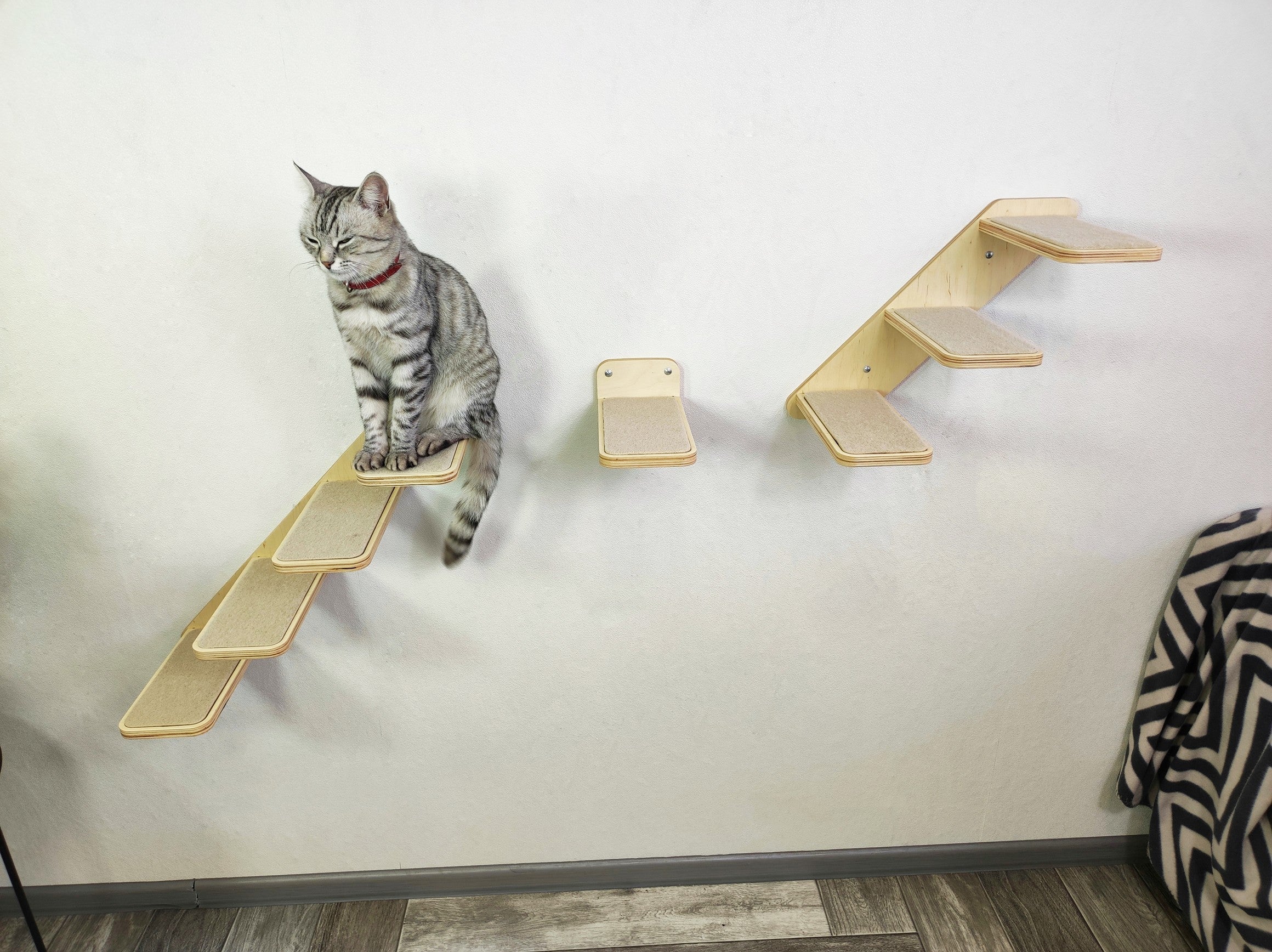 Set of Cat Ladder with Cat Wall Steps