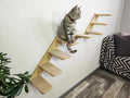 Set of Cat Ladder with Cat Wall Steps