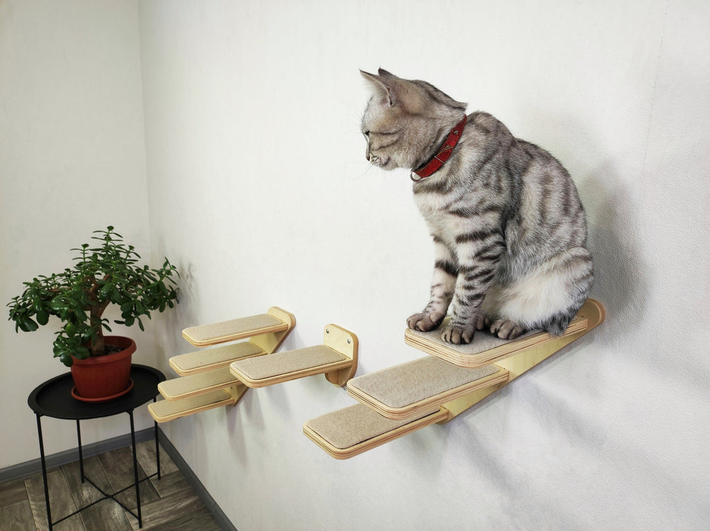 Set of Cat Ladder with Cat Wall Steps