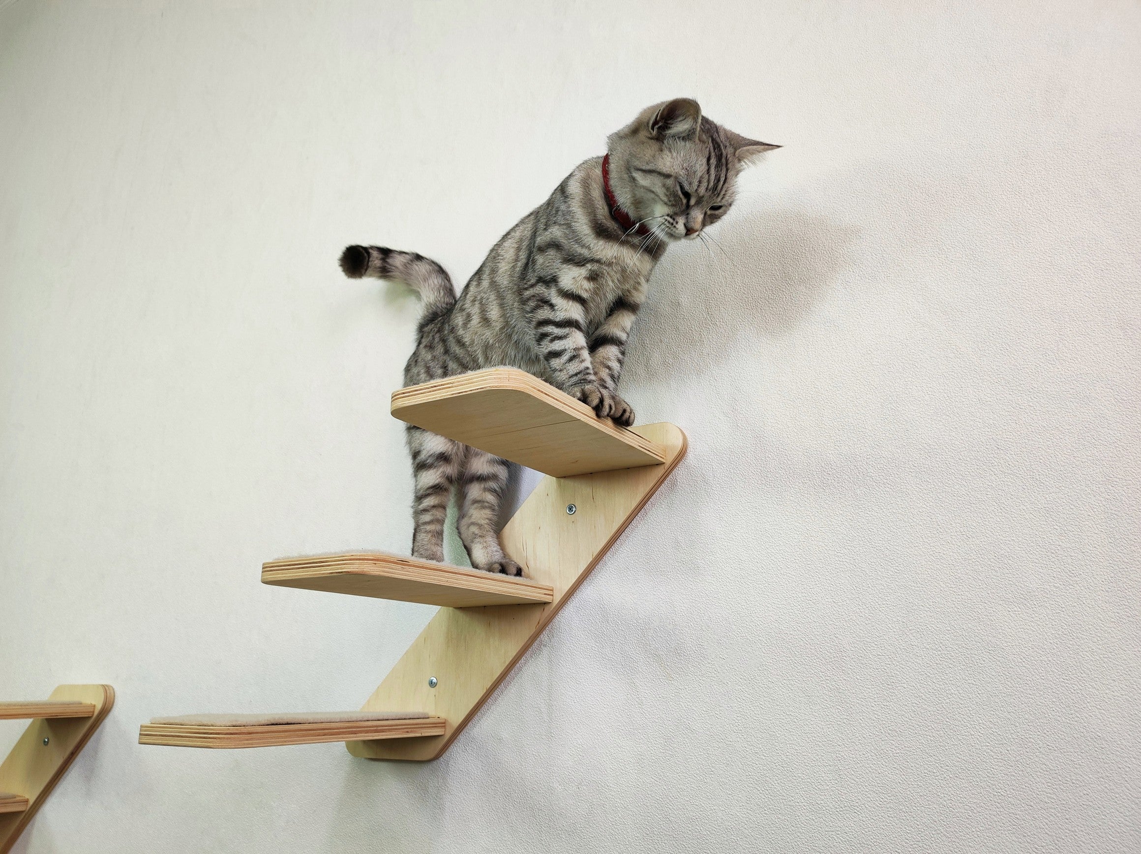 Set of Cat Ladder with Cat Wall Steps