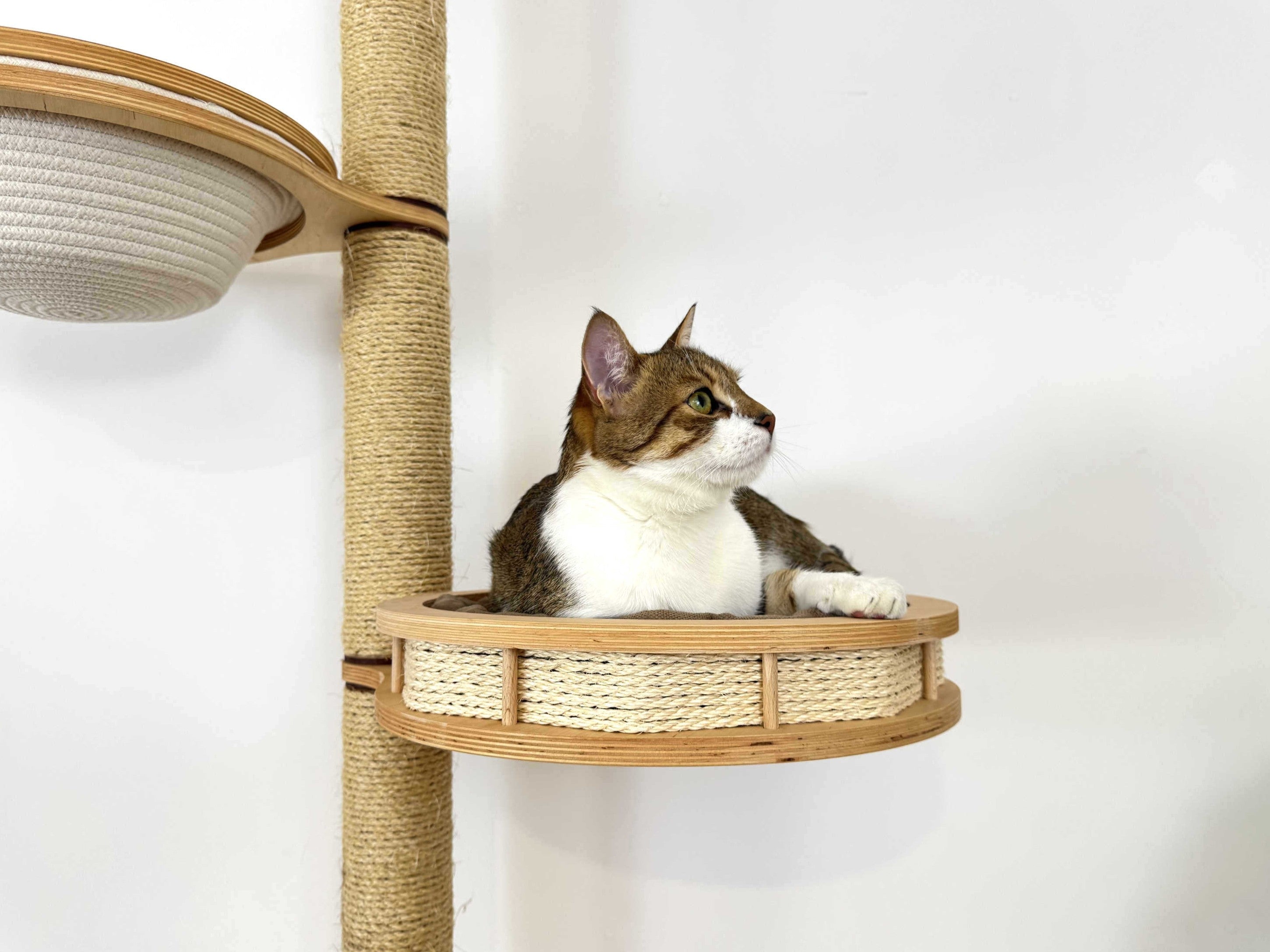 Modular Cat Tree Wall System �?Climbing Set with Bridge & Beds
