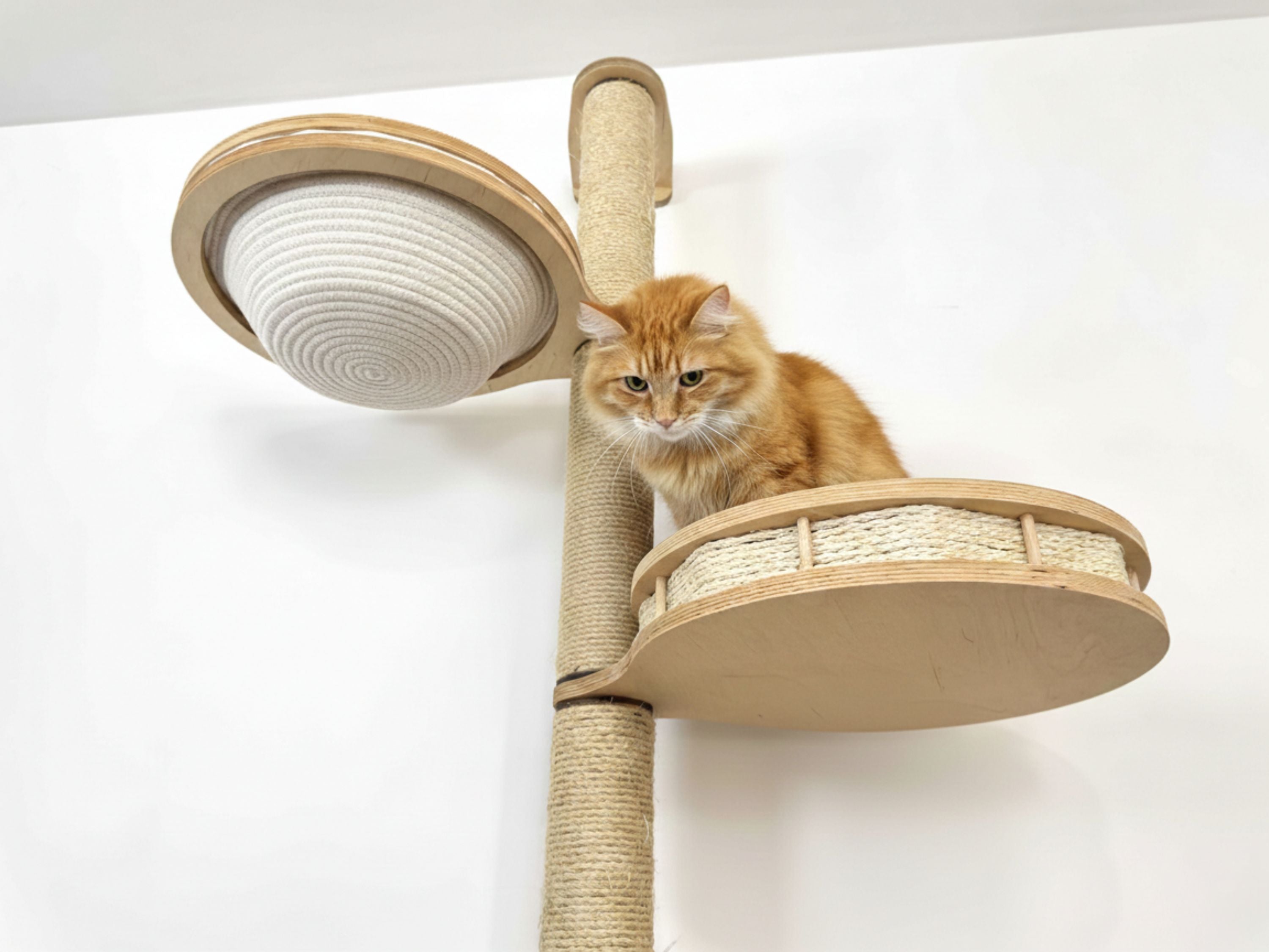 Space-Saving Cat Wall Set �?Scratcher, Cotton Basket & Step Shelf