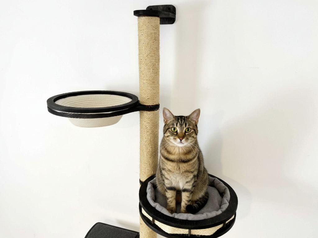 Vertical Wall Cat Scratcher with Cotton Beds & Step