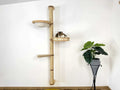 Vertical Wall Cat Scratcher with Cotton Beds & Step