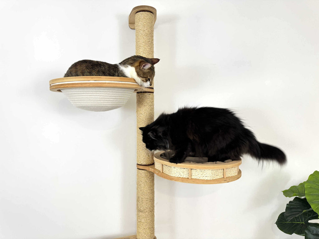 Space-Saving Cat Wall Set �?Scratcher, Cotton Basket & Step Shelf