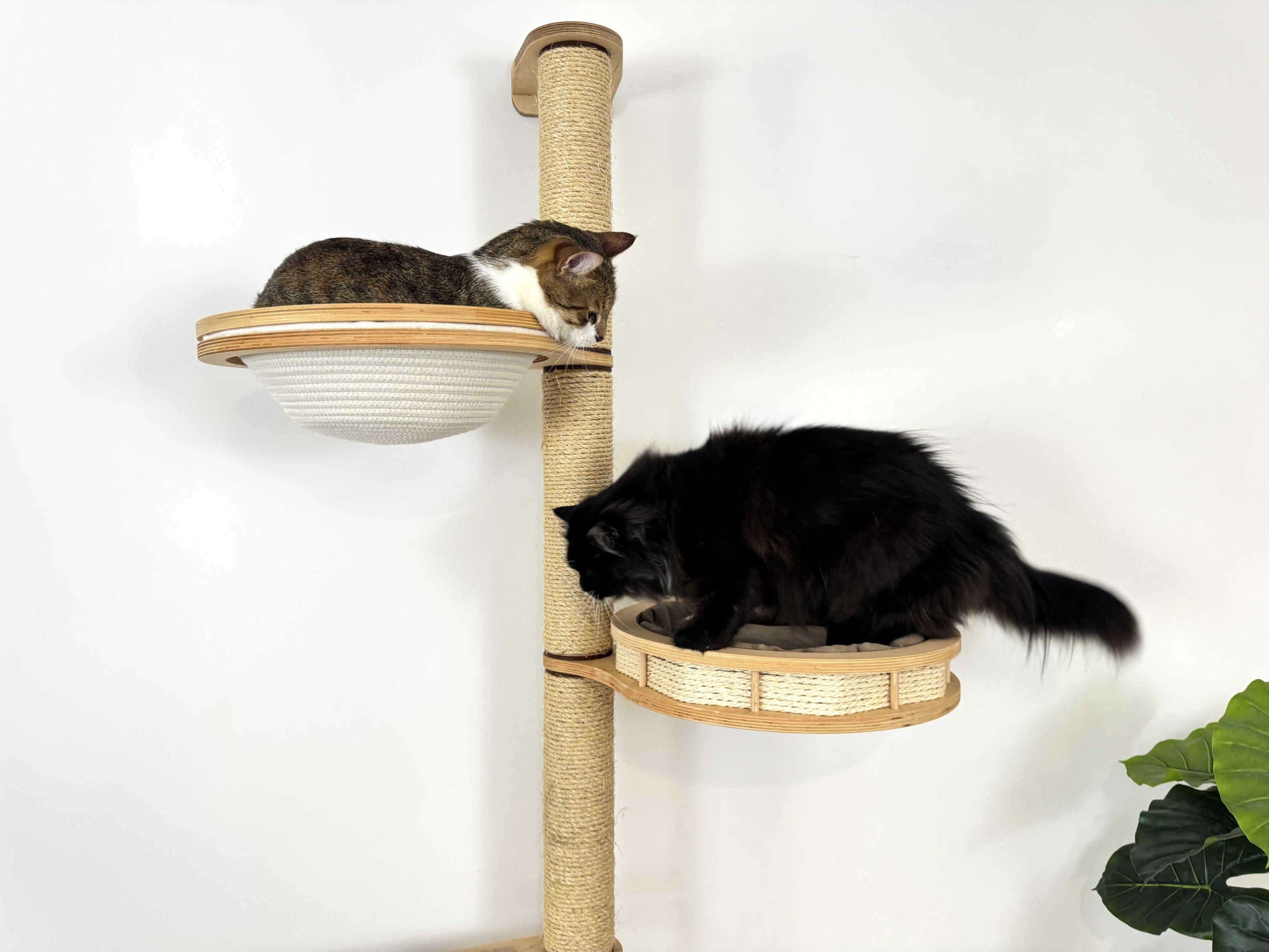 Space-Saving Cat Wall Set �?Scratcher, Cotton Basket & Step Shelf