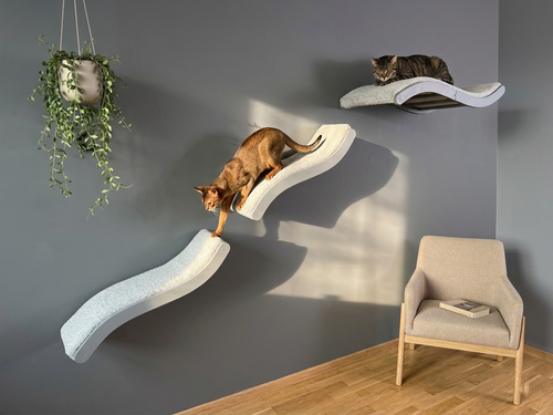 Cat Wall Shelf Set �C Curved Cat Bed with Cushion & 2 Wall Steps (Set of 3)