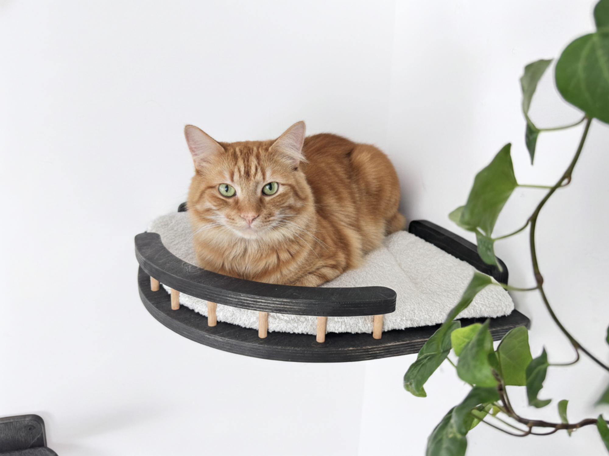 Corner Cat Wall Shelf with Soft Cushion
