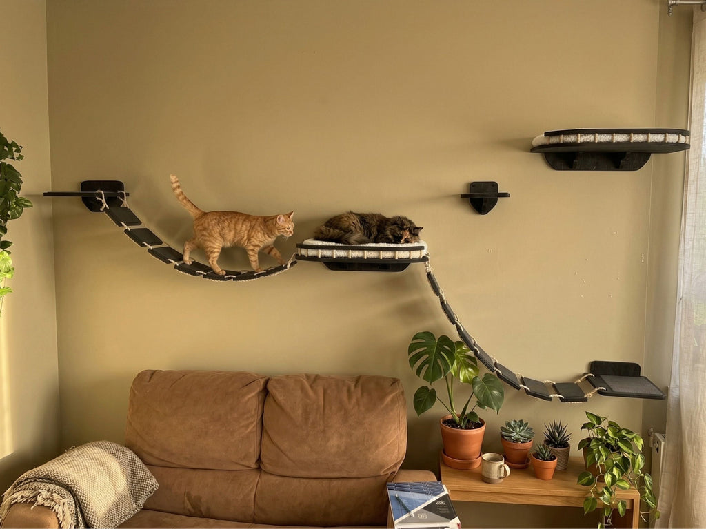 Cat Wall Playground: Large Bridge, Wall Step and Bed