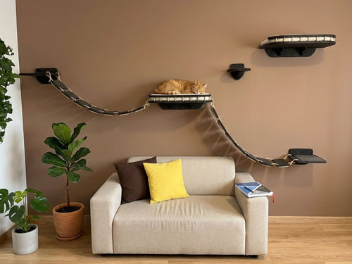 Cat Wall Playground: Large Bridge, Wall Step and Bed