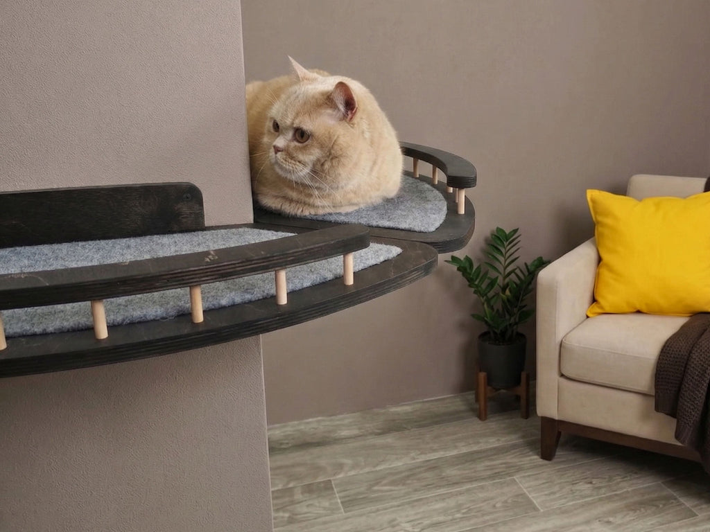 External Corner Cat Wall Shelf