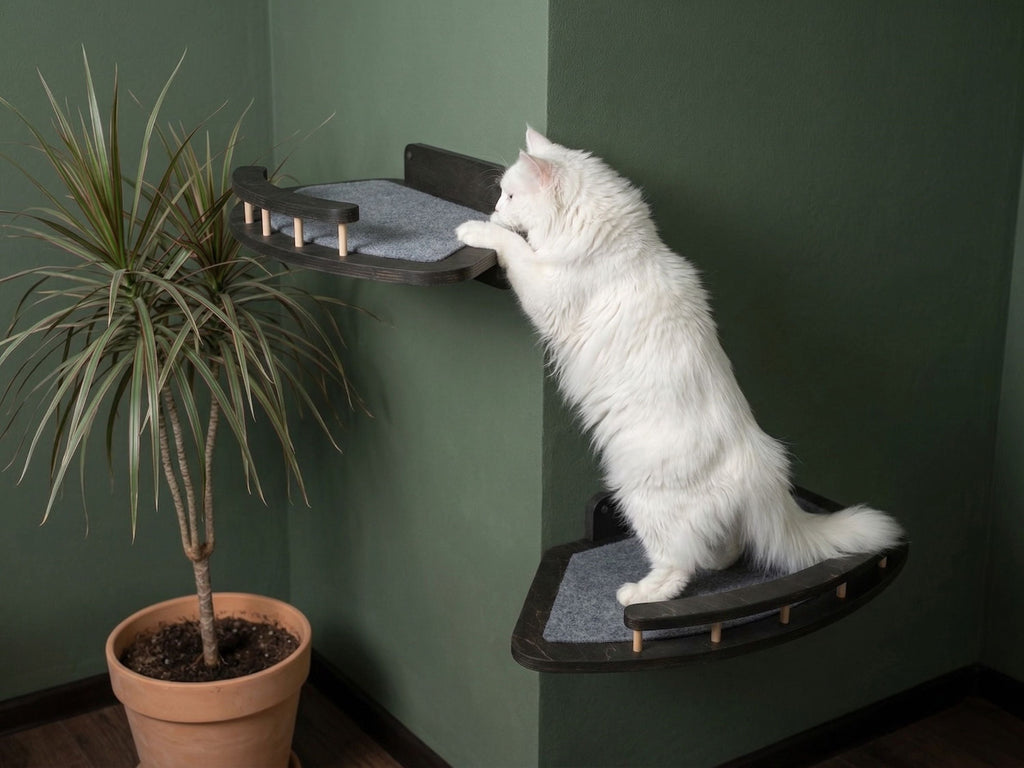 External Corner Cat Wall Shelf
