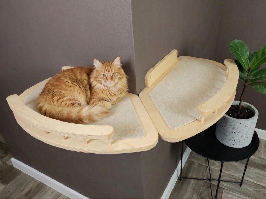 External Corner Cat Wall Shelf