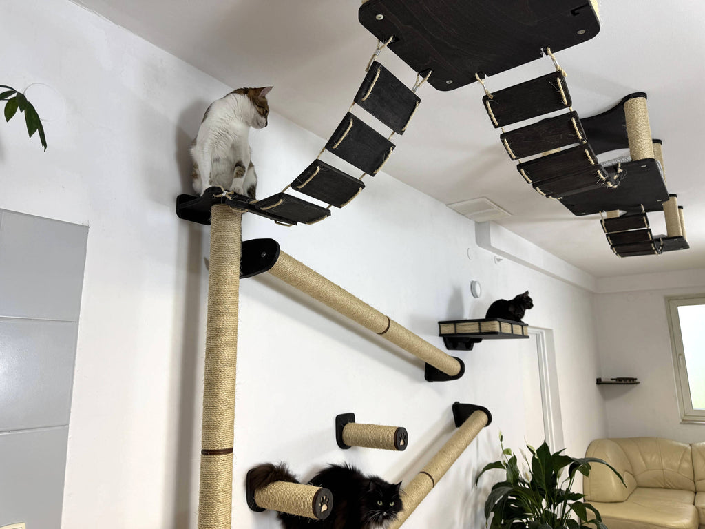 Full Ceiling & Wall Cat System with Climbing Zone