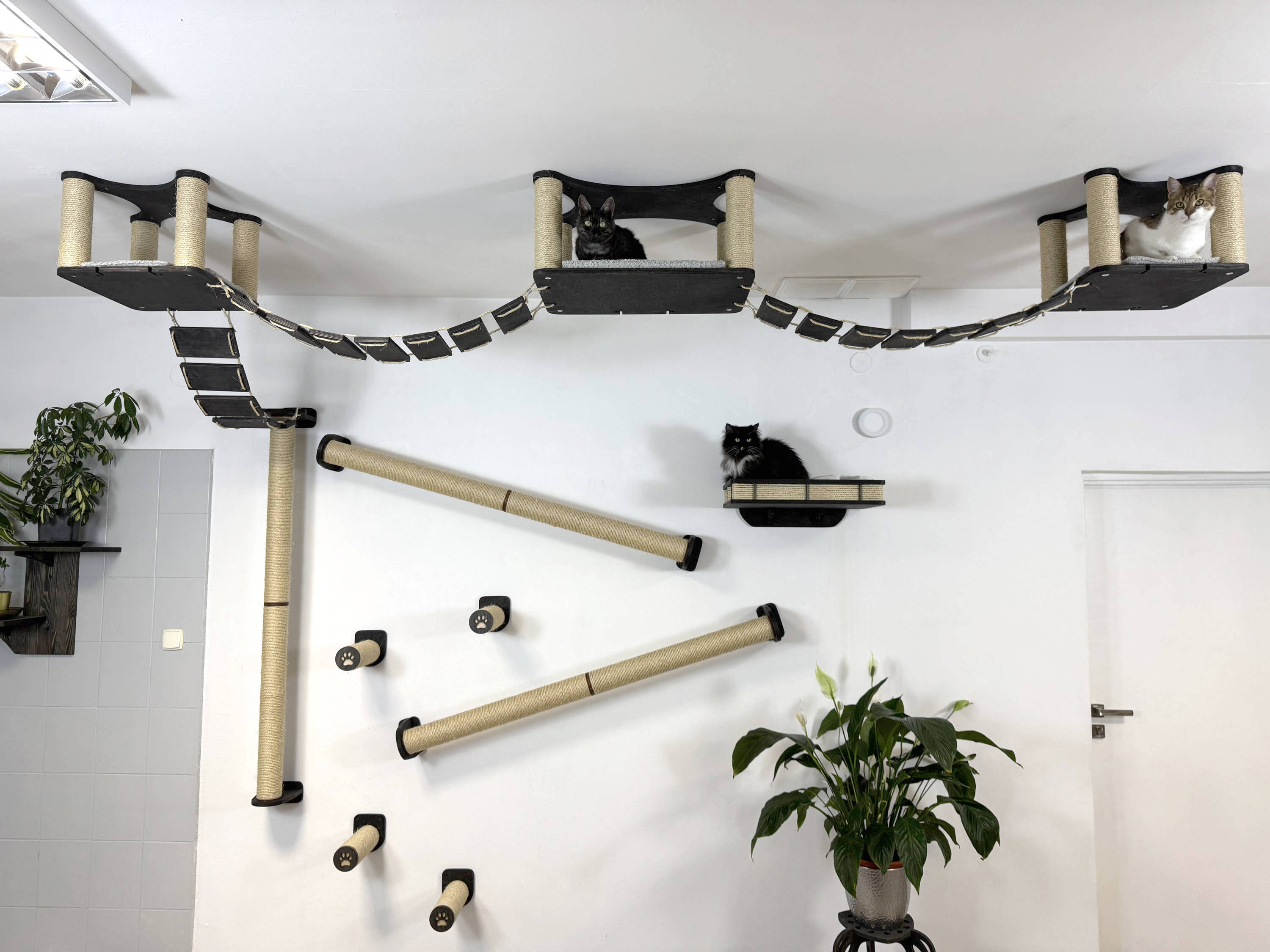 Ceiling and Wall Cat Furniture Set with Climbing Posts