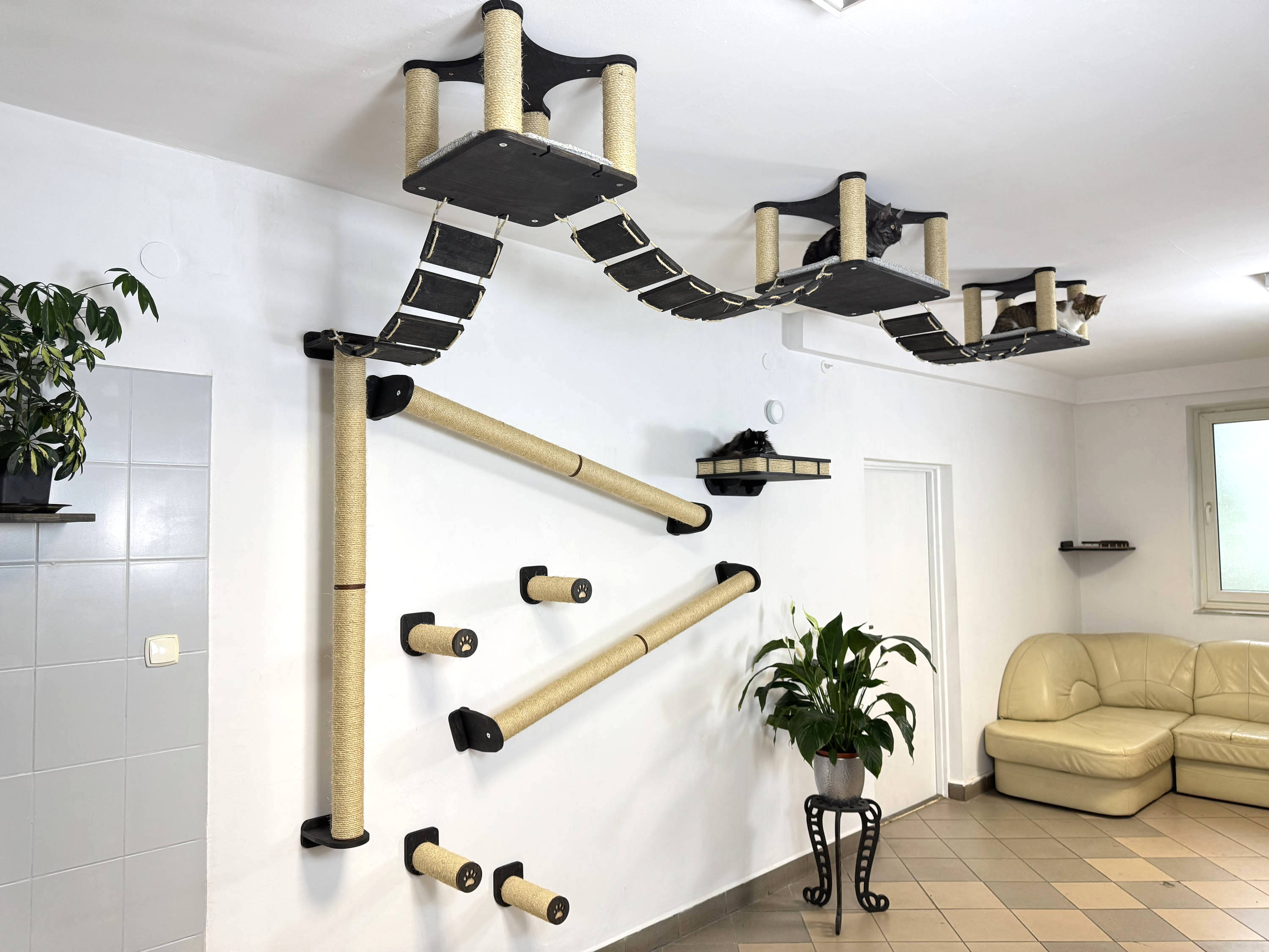 Full Ceiling & Wall Cat System with Climbing Zone