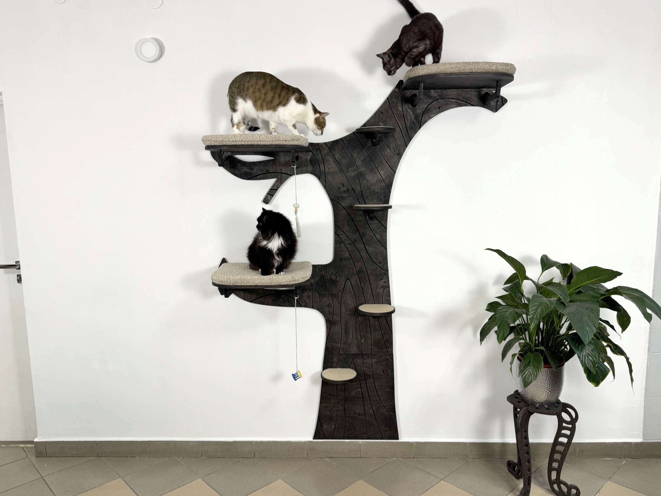 Wall Cat Tree “Climb & Lounge�?Set with Scratching Post