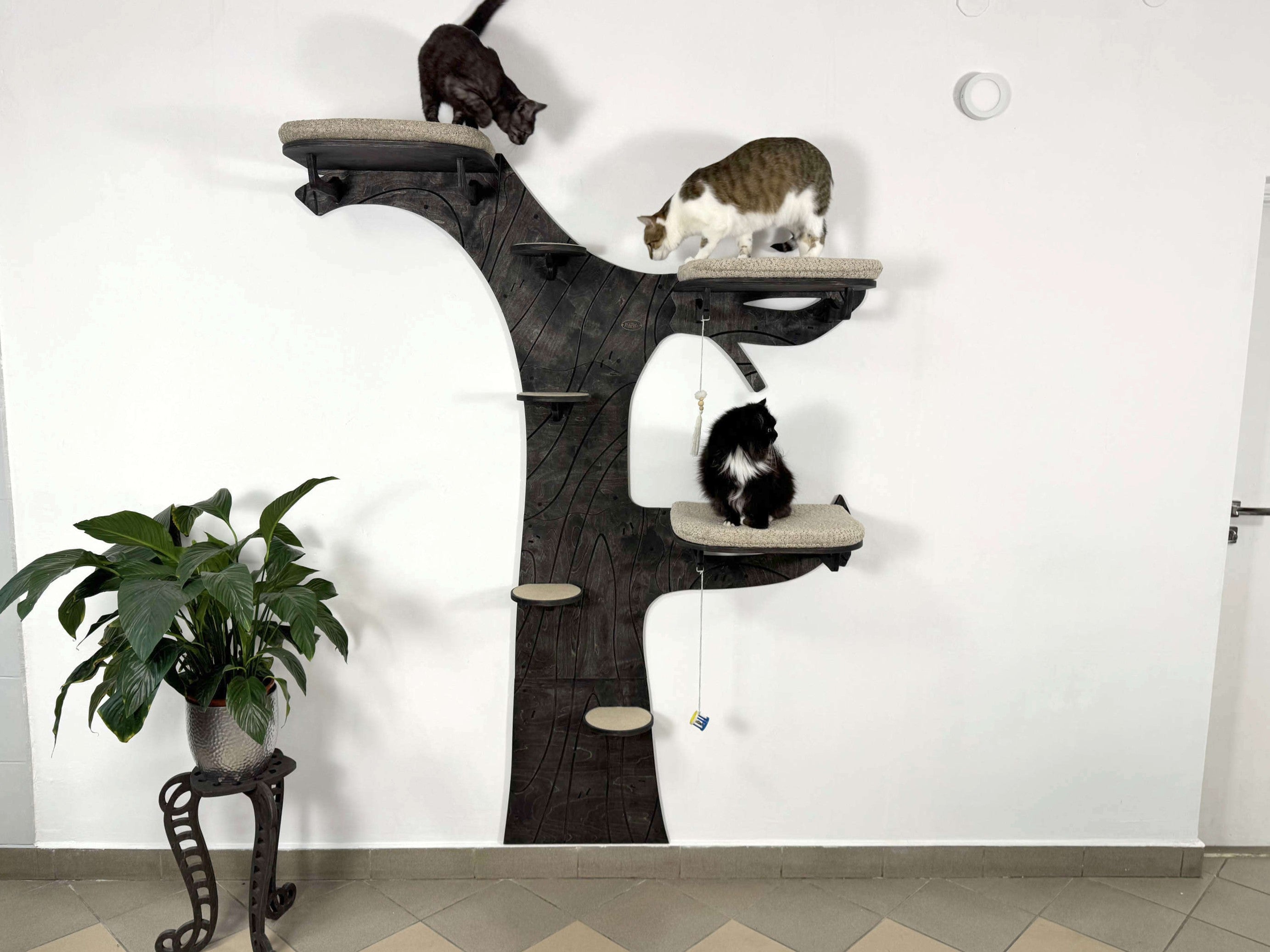 Cat Climbing Shelves: Tree with Steps and 3 Beds with Cushions