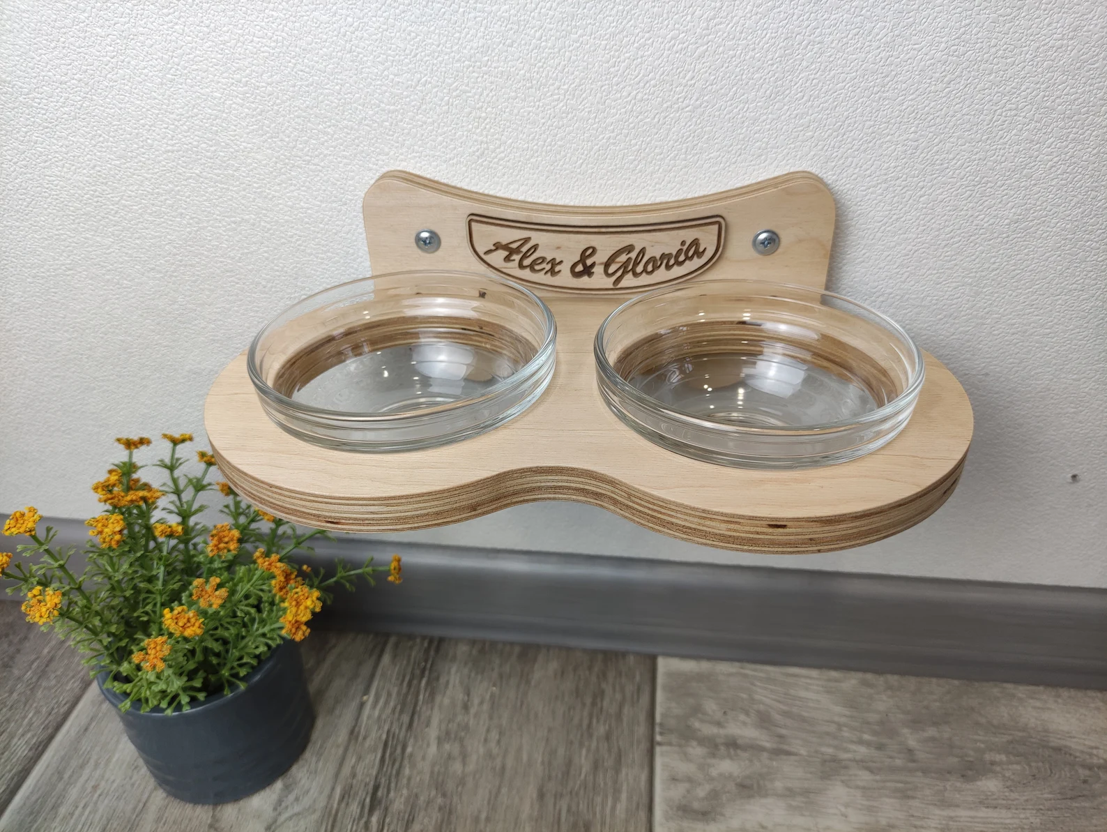 Double Cat Feeder with Glass Bowls (Wall-Mounted)