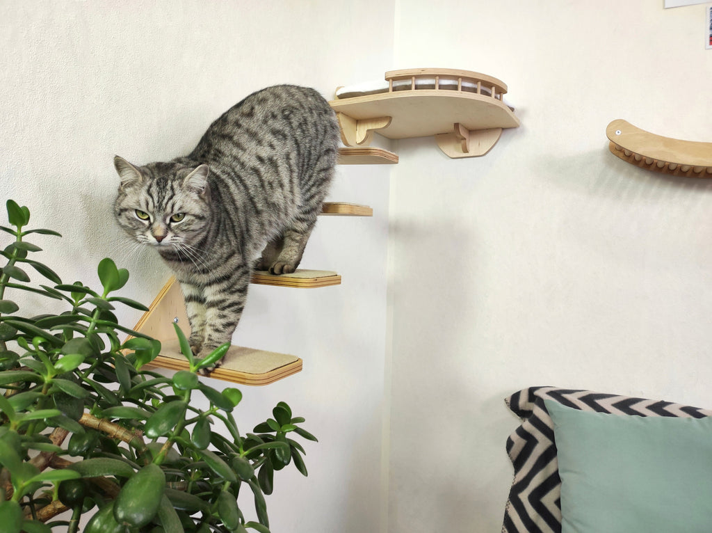 Cat Wall Playground - Steps, Shelf & Climbing Wave