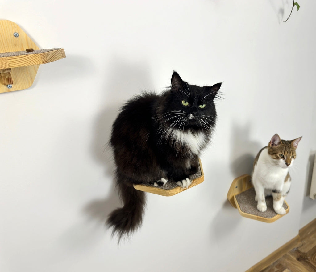 Set of Hexgonal Wall-Mounted Cat Step