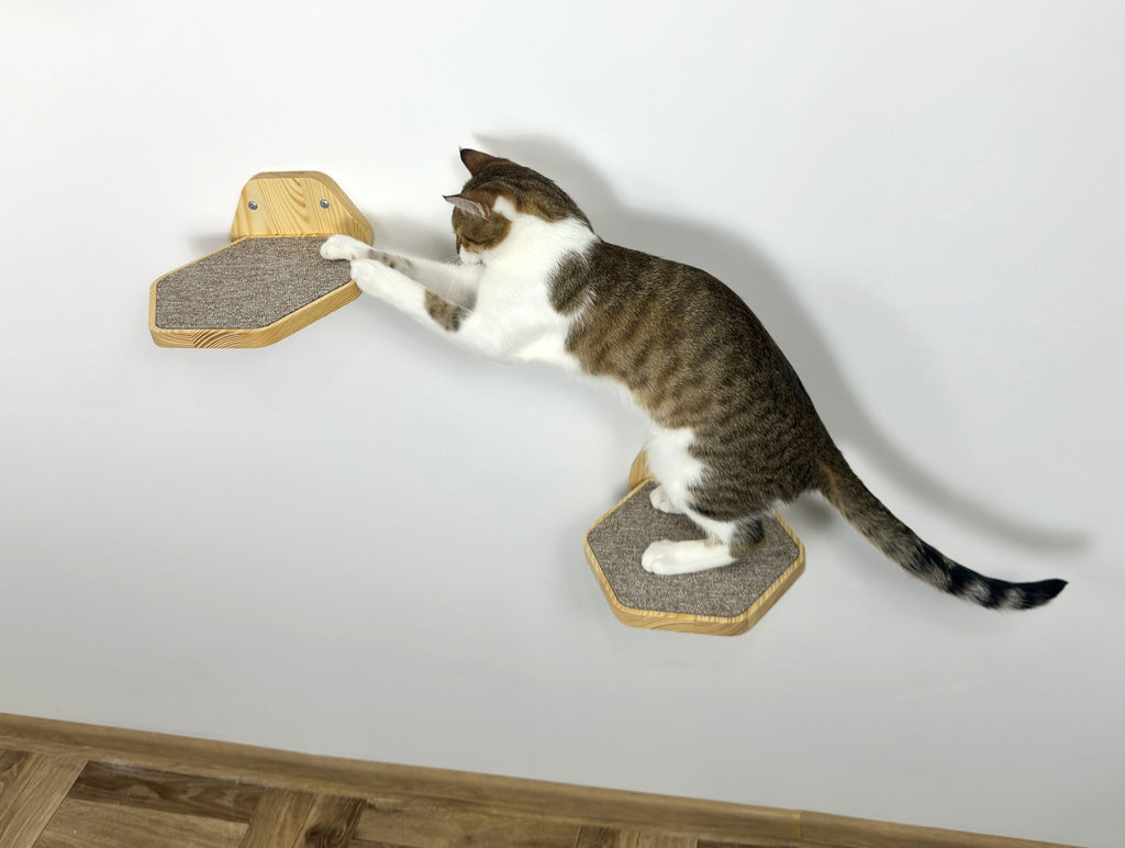 Set of Hexgonal Wall-Mounted Cat Step