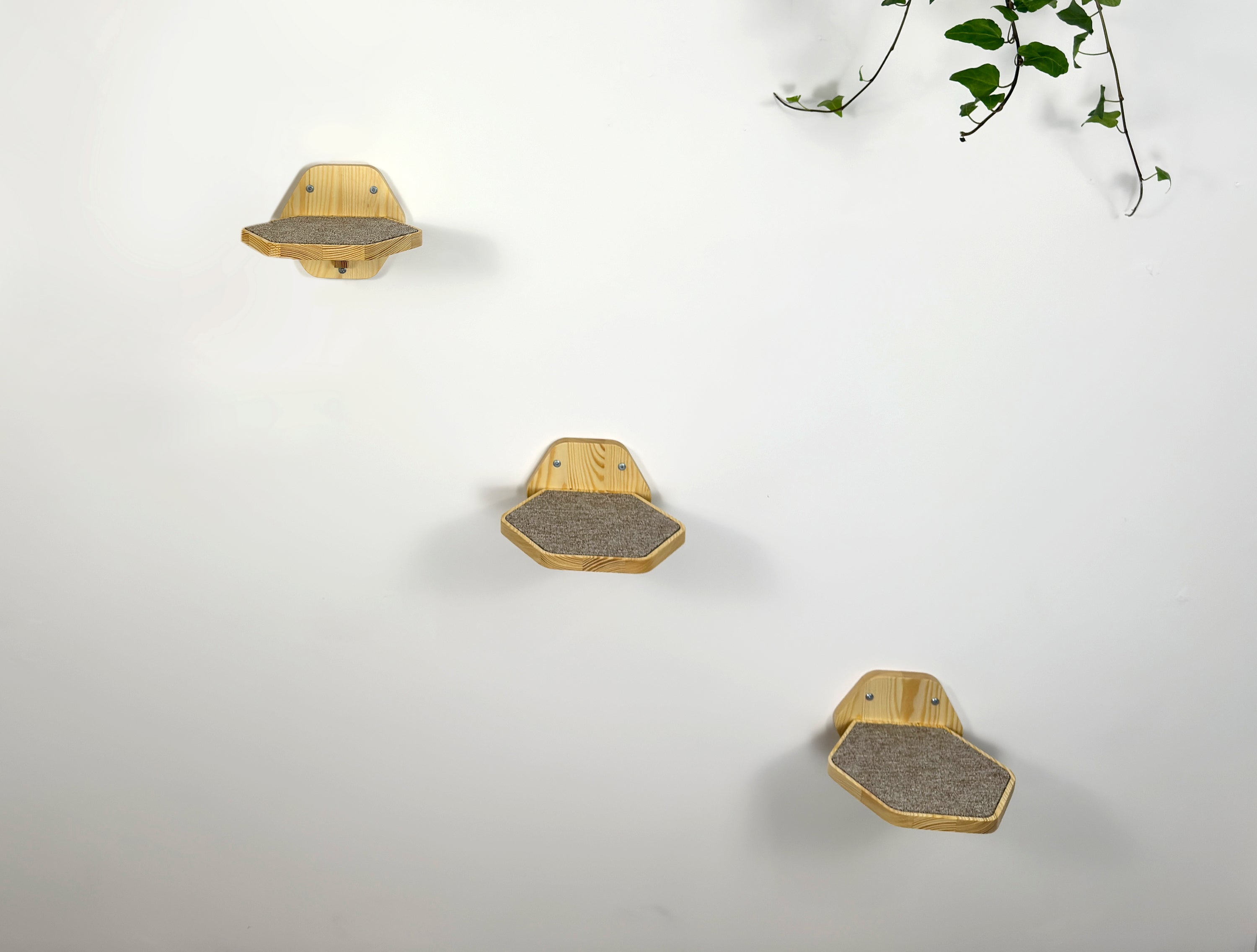 Set of Hexgonal Wall-Mounted Cat Step