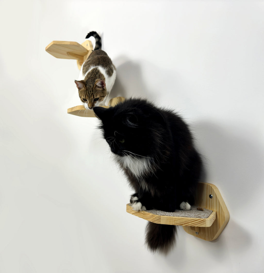 Set of Hexgonal Wall-Mounted Cat Step