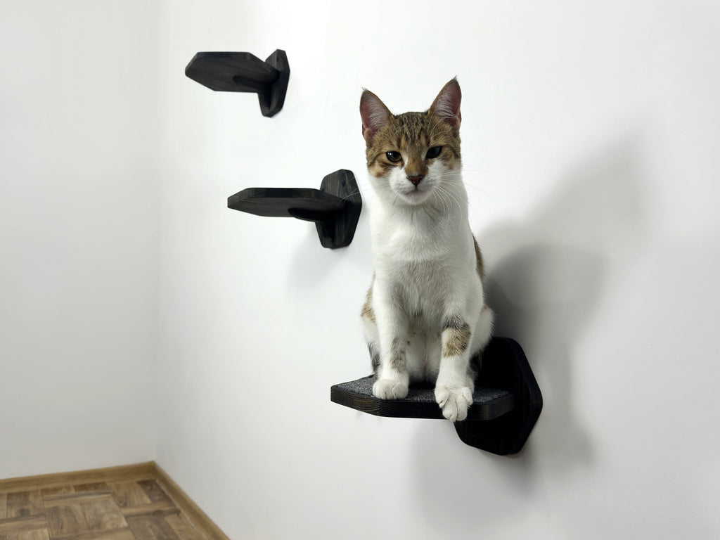 Set of Hexgonal Wall-Mounted Cat Step