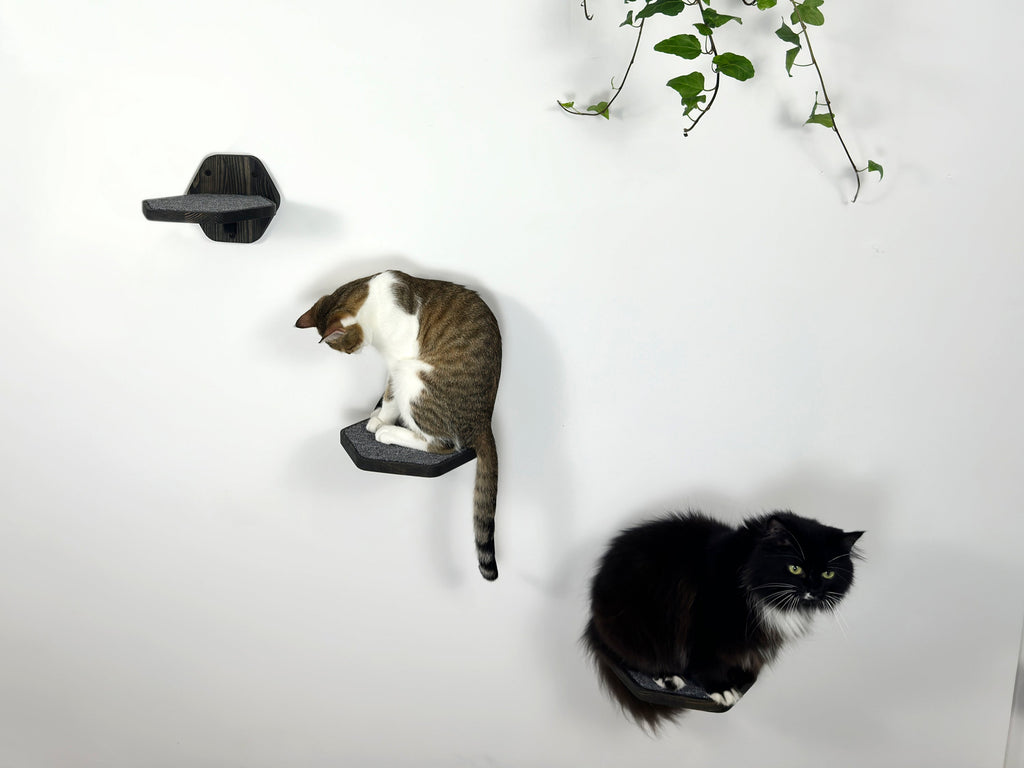 Set of Hexgonal Wall-Mounted Cat Step