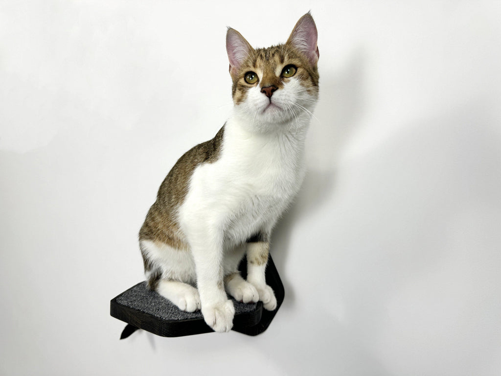 Hexgonal Wall-Mounted Cat Step