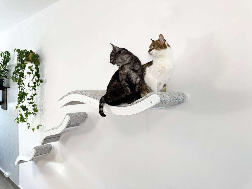 Cat Wall Shelf Set �C Curved Cat Bed with Cushion & 2 Wall Steps (Set of 3)