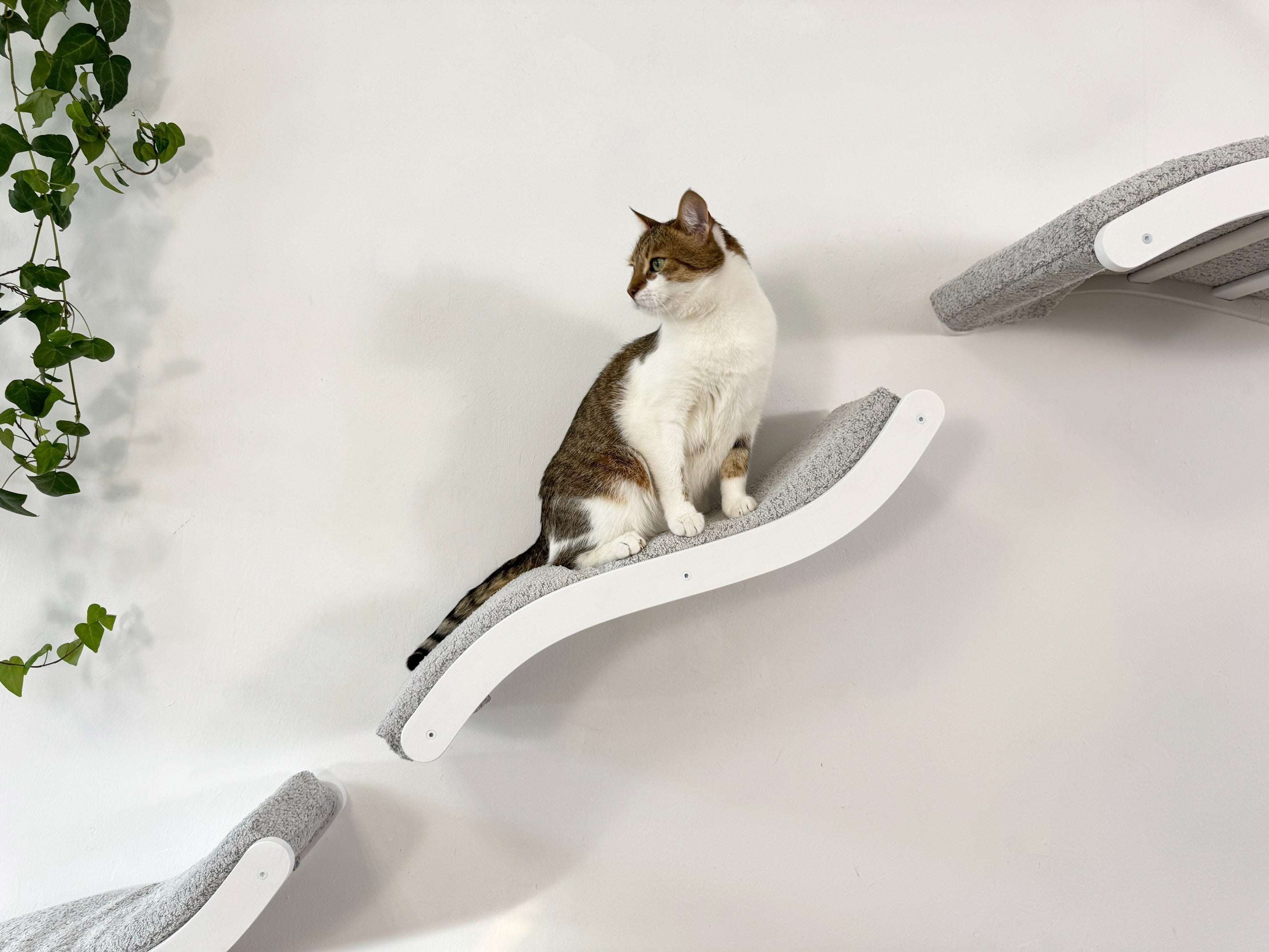 Cat Wall Shelf Set �C Curved Cat Bed with Cushion & 2 Wall Steps (Set of 3)