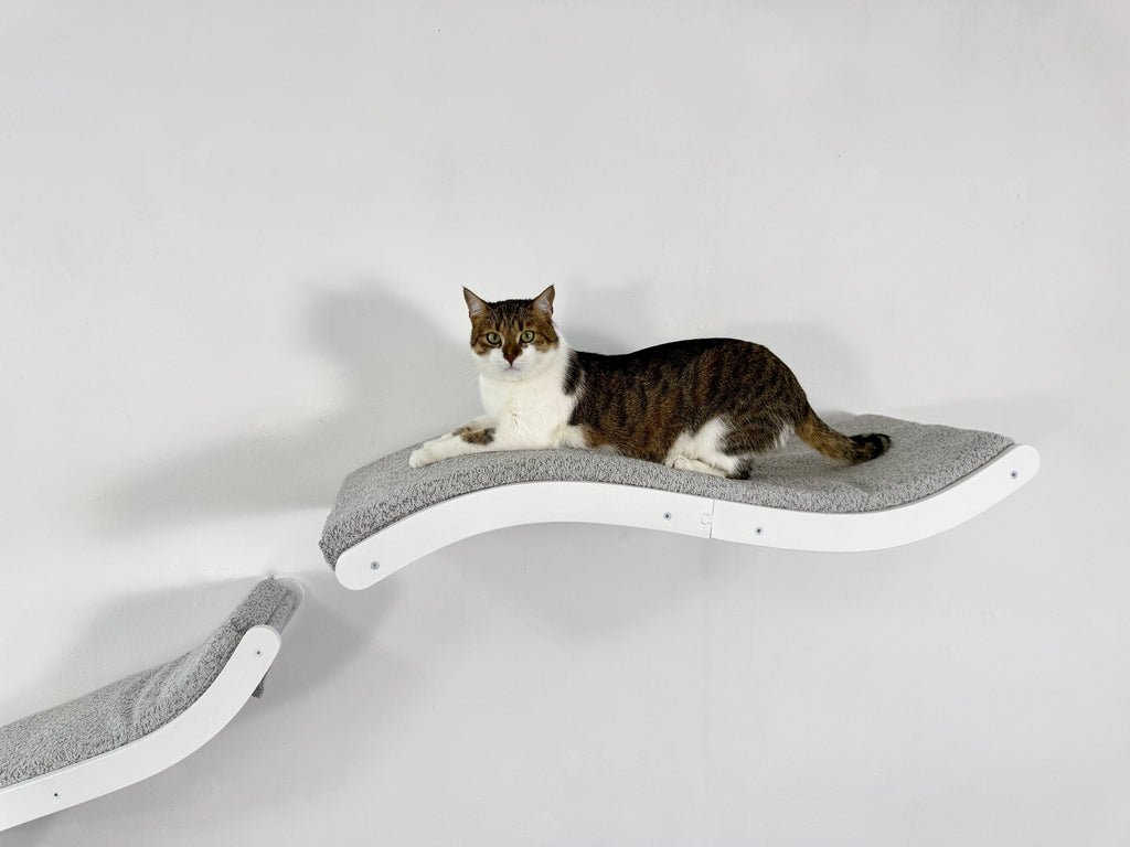 Curved Cat Wall Bed Set �C 3 Wall Shelves with Cushions