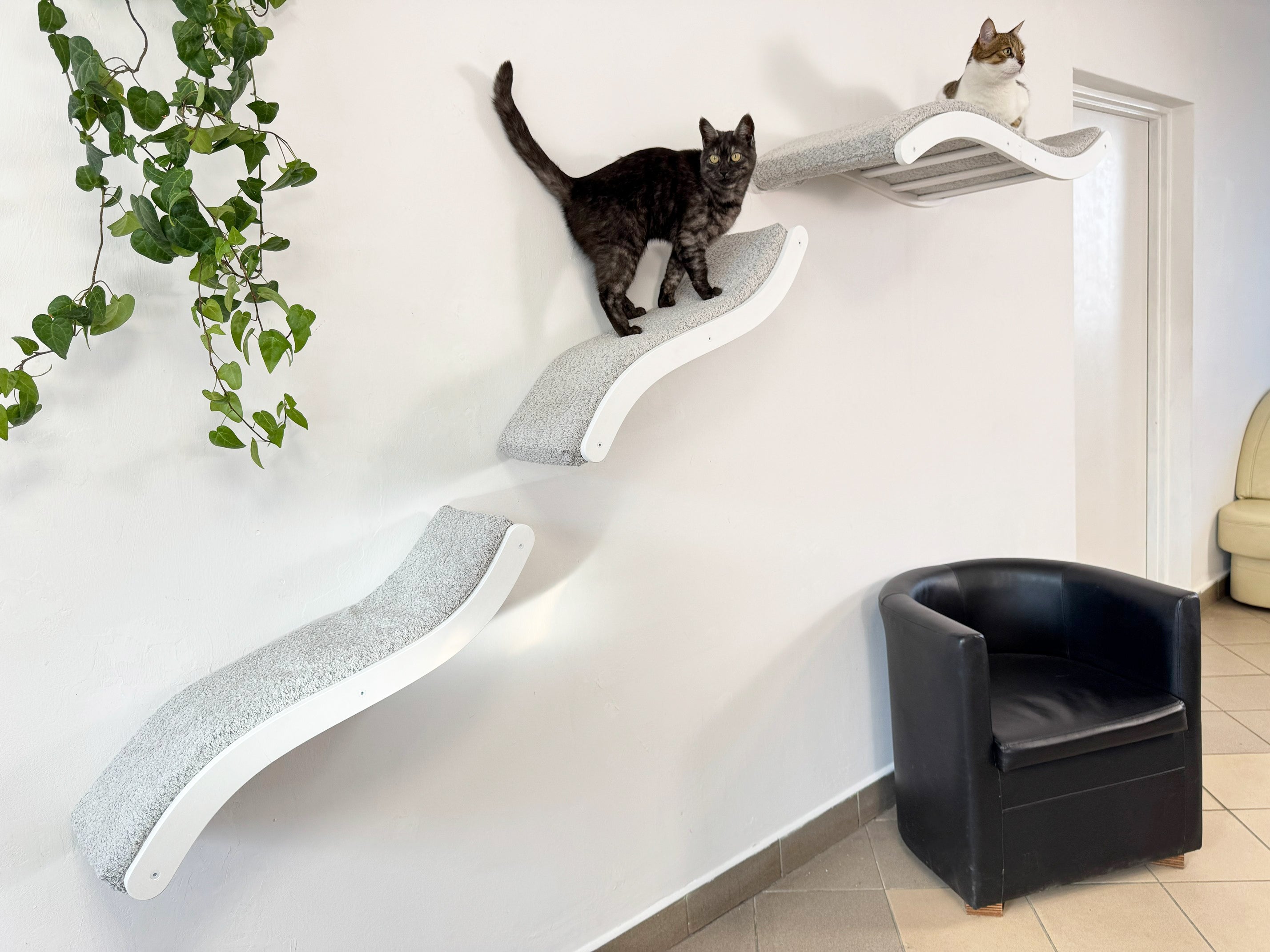 Wall Mounted Cat Furniture Set �C Curved Cat Shelf Bed with Cushion & 2 Climbing Steps