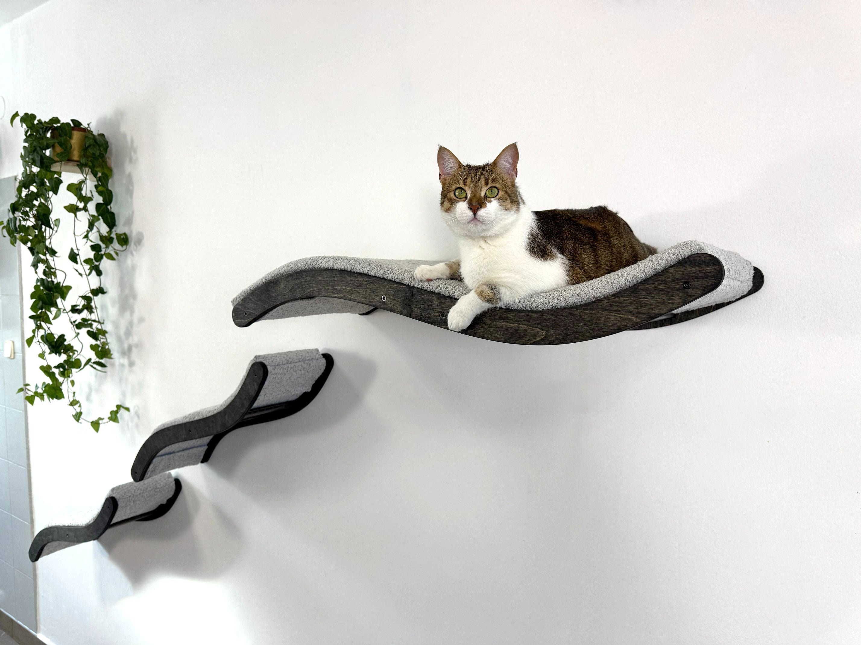 Cat Wall Shelf Set �C Curved Cat Bed with Cushion & 2 Wall Steps (Set of 3)