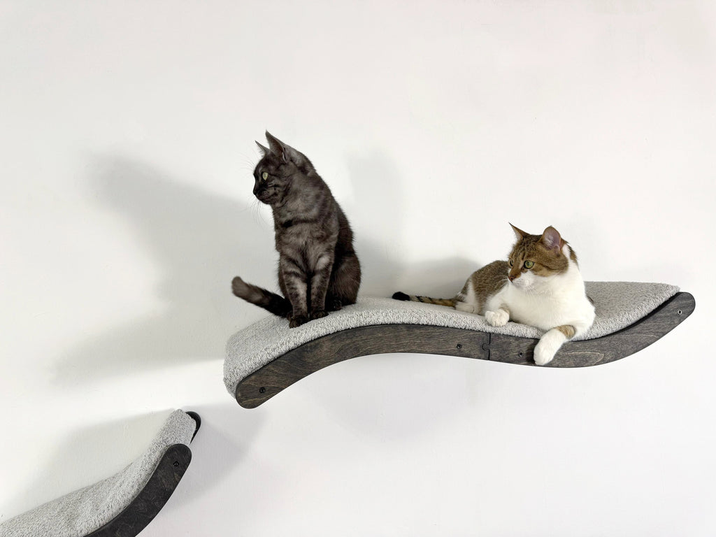 Wall Mounted Cat Furniture Set �C Curved Cat Shelf Bed with Cushion & 2 Climbing Steps