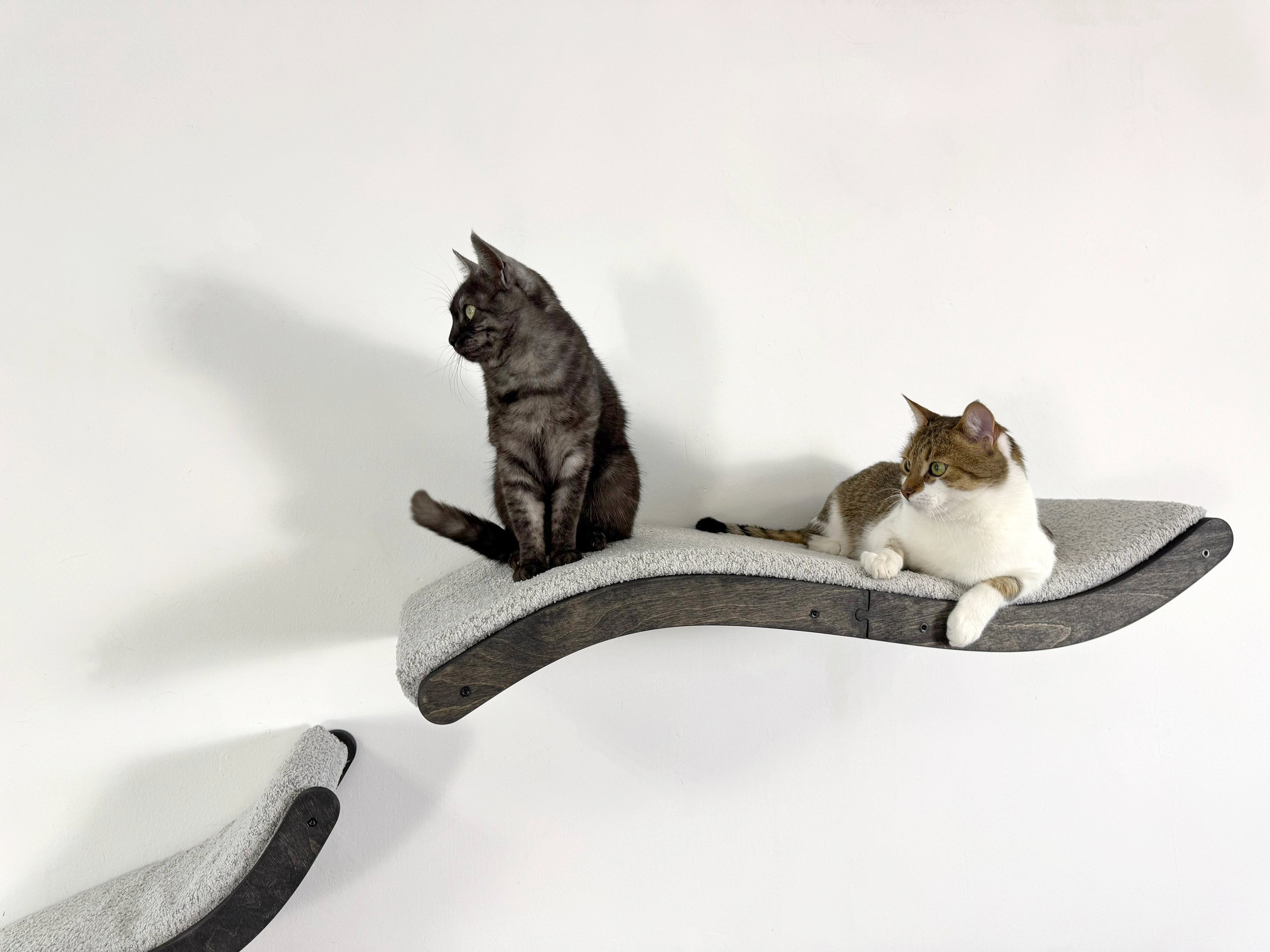 Curved Cat Wall Bed Set �C 3 Wall Shelves with Cushions