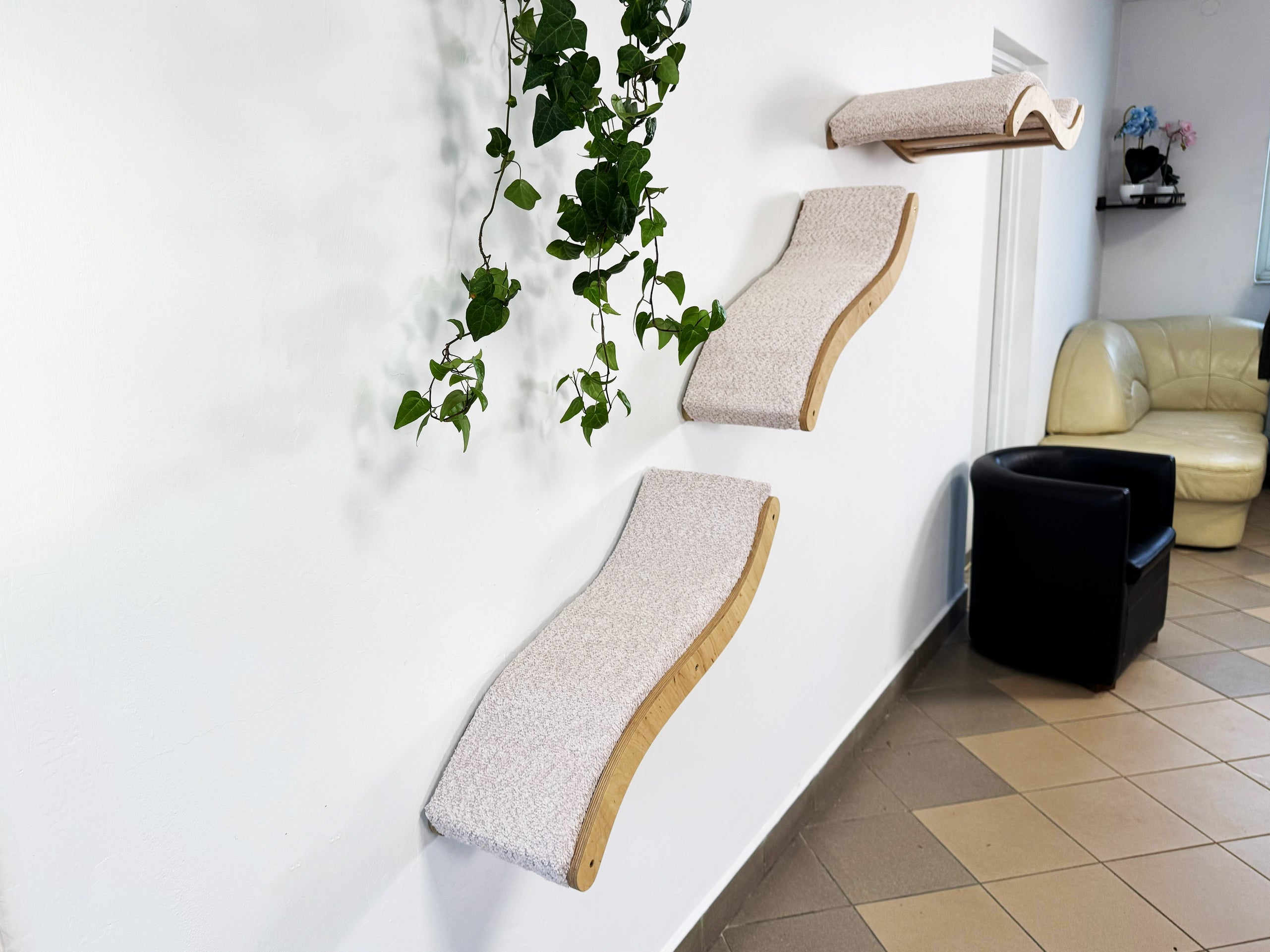 Cat Wall Shelf Set �C Curved Cat Bed with Cushion & 2 Wall Steps (Set of 3)