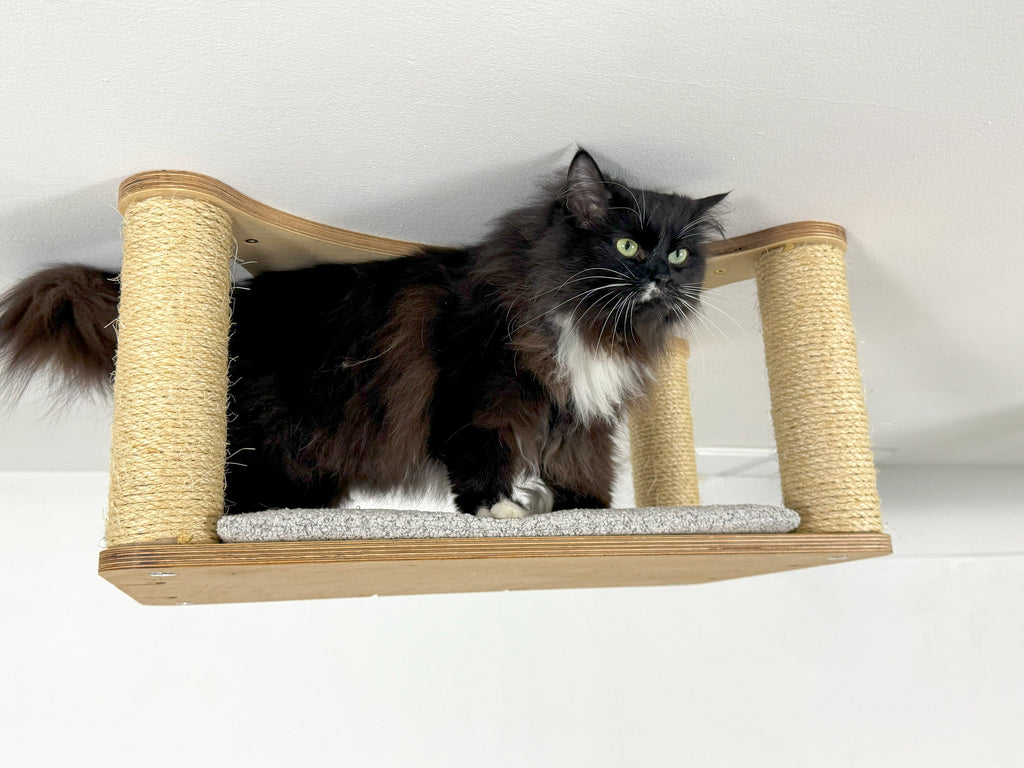 Extended Ceiling Cat Bed with Sisal Columns