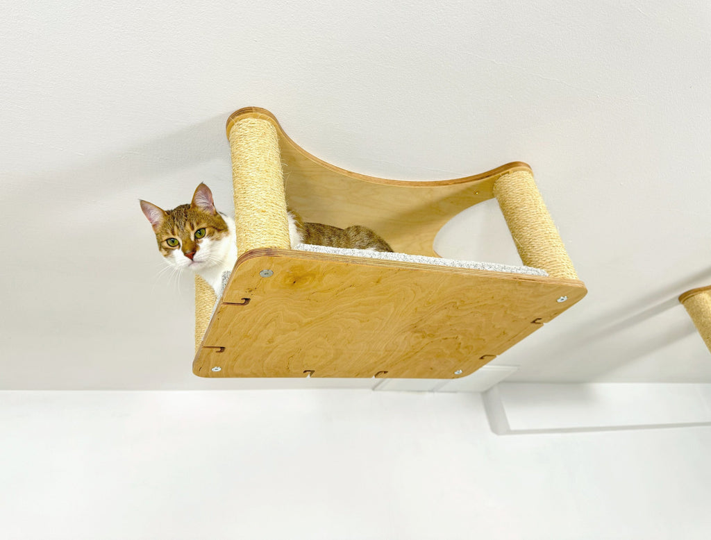 Extended Ceiling Cat Bed with Sisal Columns