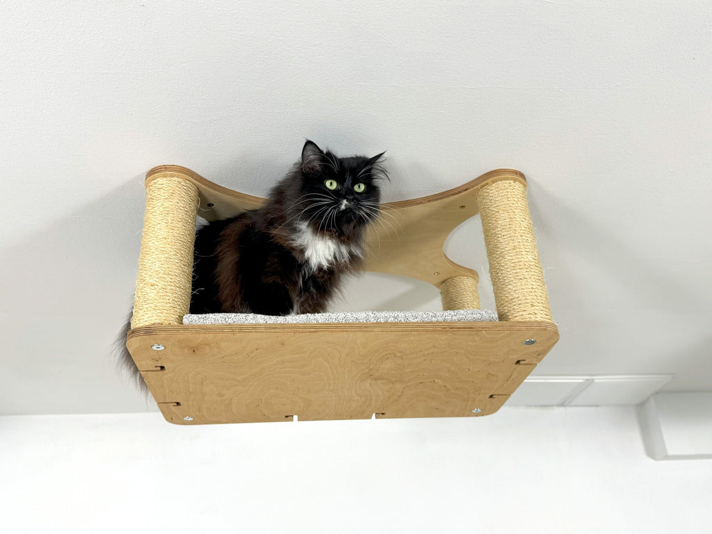 Extended Ceiling Cat Bed with Sisal Columns