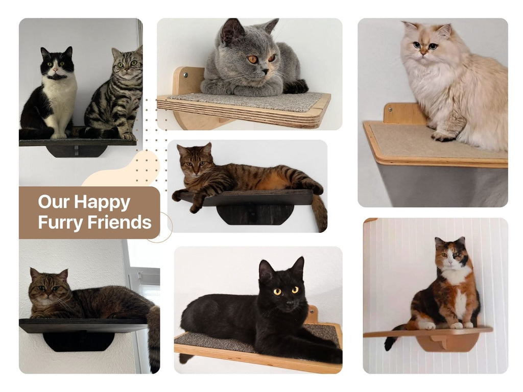 Cat Wall Mounted Shelves with Carpet