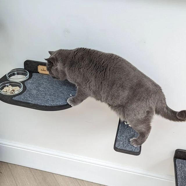 Wall-Mounted Cat Feeding Shelf