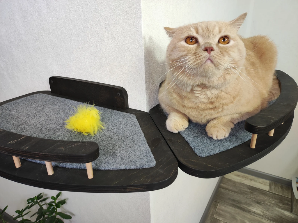 External Corner Cat Wall Shelf