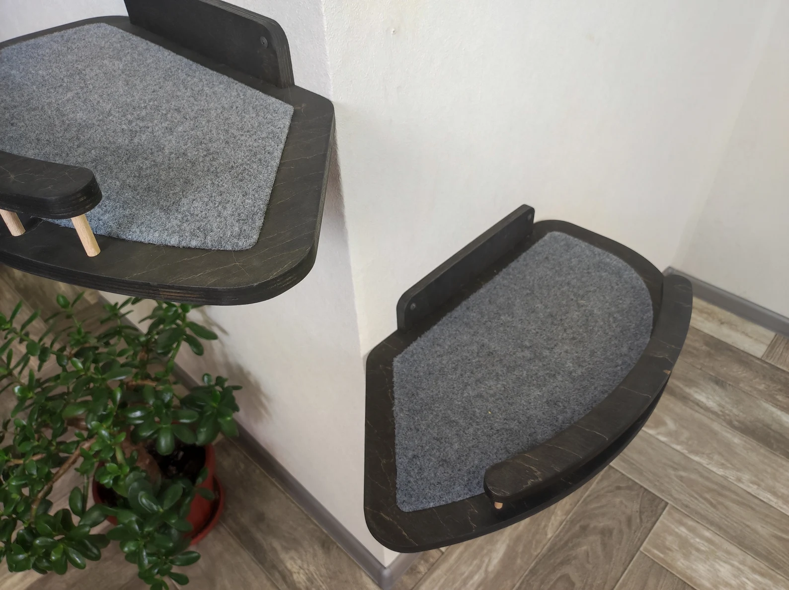 External Corner Cat Wall Shelf