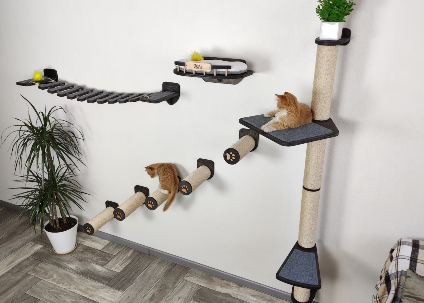 Cat Wall Climbing & Play Set - Scratch Post, Shelves, Bridge