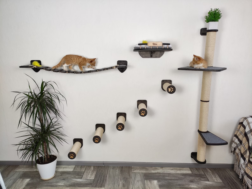 Wall-Mounted Cat Climbing Gym with Bed, Bridge & Scratching Post �?