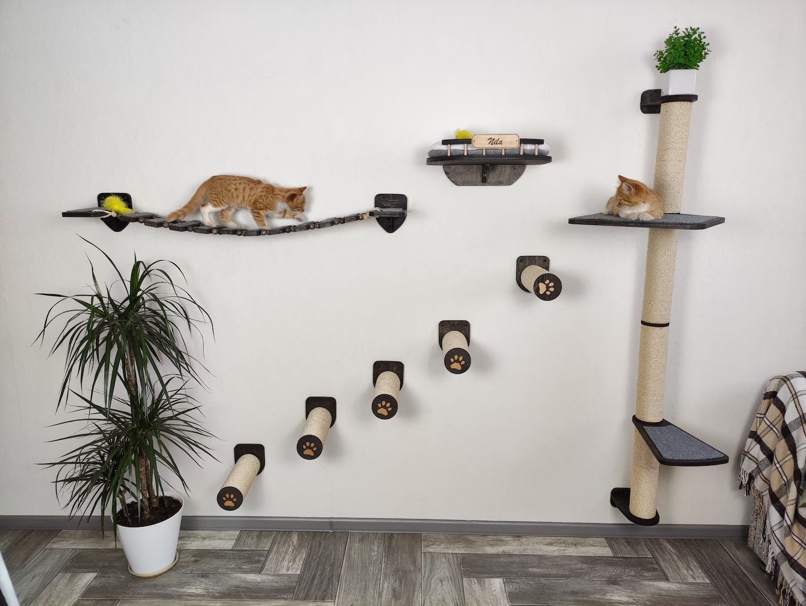 Wall-Mounted Cat Climbing Gym with Bed, Bridge & Scratching Post �?