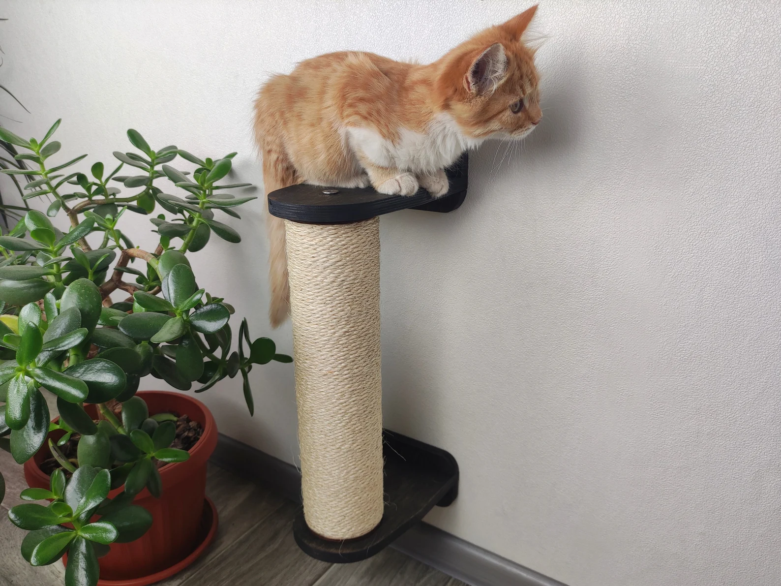 Cat Wall Scratcher Post (Wall-mounted)